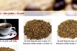 Giá cà phê hôm nay 31-3: Một công ty xuất khẩu Robusta tạm dừng cuộc chơi
