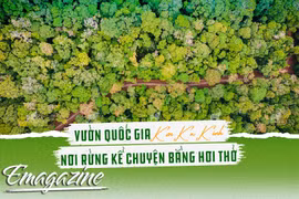 Vườn Quốc gia Kon Ka Kinh: Nơi rừng kể chuyện bằng hơi thở