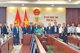 Công ty cổ phần Thành Thành Công-Biên Hòa tặng 2 triệu cây xanh cho tỉnh Gia Lai. Ảnh: M.T