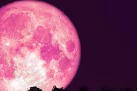 Kỳ thú tháng 4: Người Việt có thể quan sát Trăng Hồng, mưa sao băng huyền ảo