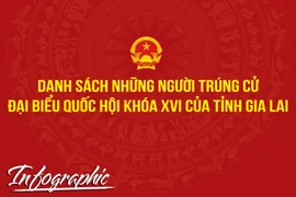 Danh sách những người trúng cử đại biểu Quốc hội khóa XVI của tỉnh Gia Lai