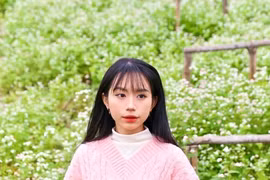 Chiêm ngưỡng vẻ đẹp hoa tam giác mạch, dã quỳ vàng nở rộ giữa lòng Thủ đô