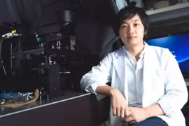 Phát triển gan thu nhỏ từ tế bào gốc đa năng cảm ứng