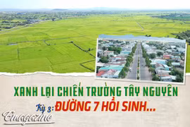 Xanh lại chiến trường Tây Nguyên Kỳ 3