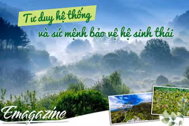 Tư duy hệ thống và sứ mệnh bảo vệ hệ sinh thái