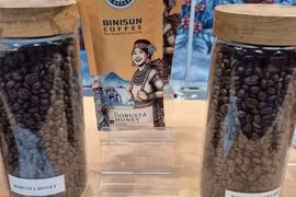 Giá cà phê hôm nay 30-5: Tiếp tục lao dốc