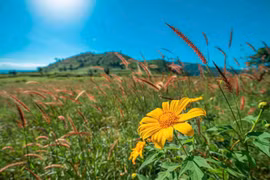 Ảnh minh họa: HUYỀN TỶ