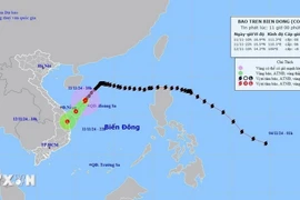 Bão số 7 tiếp tục giảm cấp và sẽ suy yếu thành áp thấp nhiệt đới vào đêm 11/11