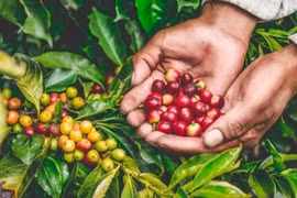 Ảnh minh hoạ. Nguồn: Internet