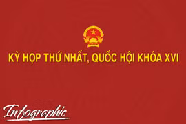 Những nội dung chính kỳ họp thứ nhất, Quốc hội khóa XVI