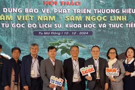 Sâm Ngọc Linh giúp Kon Tum xoá gần 2.000 hộ nghèo, thu nhập hàng chục tỷ đồng
