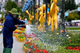 Hình ảnh Đà Lạt trước ngày khai hội Festival Hoa 2024