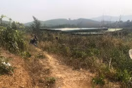 Phát hiện nam thanh niên tử vong trong tư thế treo cổ tại nghĩa trang