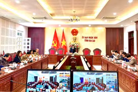 Phó Chủ tịch UBND tỉnh Nguyễn Thị Thanh Lịch phát biểu chỉ đạo tại cuộc họp triển khai chương trình xóa nhà tạm, nhà dột nát trên địa bàn tỉnh. Ảnh: A.H