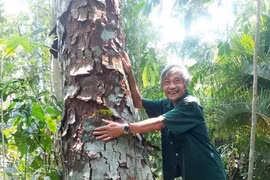 Ngày đêm giữ rừng trăm tuổi giữa đại ngàn