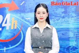 Gia Lai 24h: Vụ dàn cảnh cướp 2 triệu USD, bắt thêm 1 đối tượng liên quan