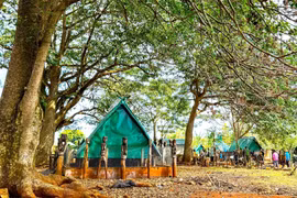 Cao nguyên vào mùa lễ hội 