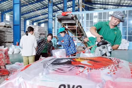 Giá gạo Việt tăng đến 90 USD/tấn, lượng đứng thứ 2 thế giới