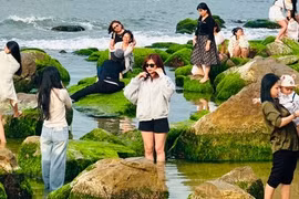 Ngắm bãi rêu Nam Ô – 'thiên đường' check-in của giới trẻ