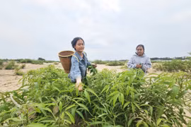 Ẩm thực mùa khô của người Jrai