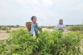 Ẩm thực mùa khô của người Jrai