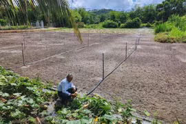 Trạm bơm 37 tỉ đồng bỏ hoang ở Bình Định hoạt động trở lại