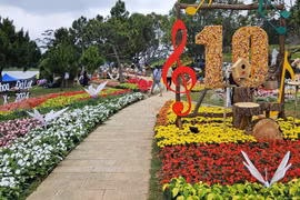 Đà Lạt rộn ràng khai tiệc hoa