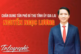 Chân dung tân Phó Bí thư Tỉnh ủy Gia Lai Nguyễn Ngọc Lương