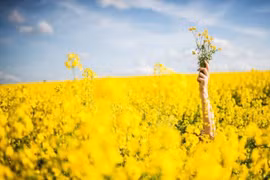 Cuộc đời “sẽ lại bắt đầu như một bài thơ”