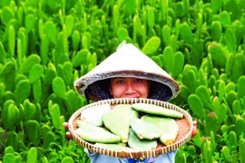 Khởi nghiệp 'không đụng hàng'