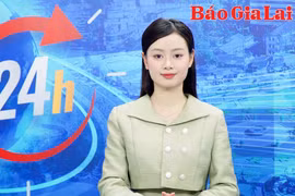 Gia Lai 24h: Gia Lai khởi tố vụ án tổ chức đánh bạc trên 10 tỷ đồng