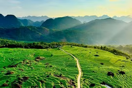 Ruộng bậc thang xanh mướt mùa lúa non 'đốn tim' du khách