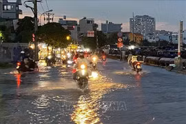Mưa lớn cục bộ ở Tây Nguyên và Nam Bộ, đề phòng lũ quét, sạt lở ở Quảng Ngãi