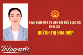 Chân dung ứng cử viên đại biểu Quốc hội khóa XVI Huỳnh Thị Hoa Điệp