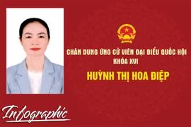 Chân dung ứng cử viên đại biểu Quốc hội khóa XVI Huỳnh Thị Hoa Điệp