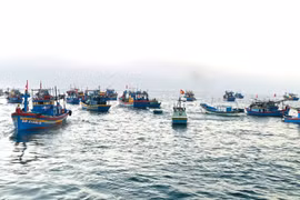 Tập trung bảo vệ, phát triển nguồn lợi thủy sản