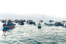 Tập trung bảo vệ, phát triển nguồn lợi thủy sản