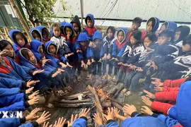 Thời tiết ngày 14/1: Không khí lạnh tăng cường, Bắc Bộ rét đậm, có nơi rét hại