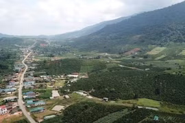 Kỳ lạ, 400 hộ dân mang hộ khẩu Lâm Đồng nhưng đất đai do Đắk Nông quản lý