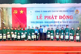 Công ty Cao su Mang Yang phấn đấu khai thác vượt 7.500 tấn mủ quy khô 