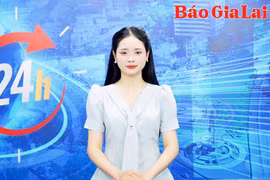 Gia Lai 24h: Minh bạch sản xuất-điều kiện bắt buộc để trái cây tươi xuất ngoại 