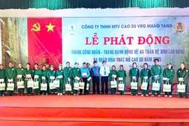 Công ty Cao su Mang Yang phấn đấu khai thác vượt 7.500 tấn mủ quy khô 