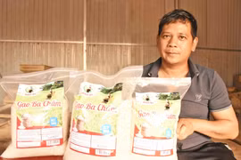 Giám đốc hợp tác xã tâm huyết với nông nghiệp sạch