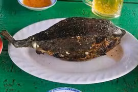 Chủ tịch tỉnh Khánh Hòa chỉ đạo 'nóng' vụ bán cá bò hòm 3,5 triệu đồng/kg