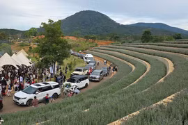 Vì sao 30.4 Đà Lạt vắng vẻ, qua 1.5 đông nghẹt du khách?