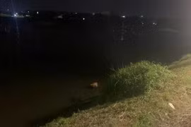 Phát hiện thi thể tại ao nước của nhà máy xử lý nước thải