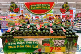 Kết nối tiêu thụ dưa hấu 