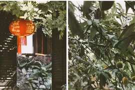 'Du lịch chậm' có thể là chìa khóa cho một kỳ nghỉ tuyệt vời hơn