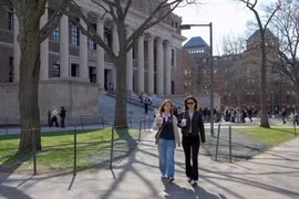 Thẩm phán chặn lệnh cấm Đại học Harvard tuyển sinh viên quốc tế