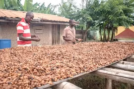 Liên hợp quốc đề nghị Mỹ miễn thuế cho các quốc gia nghèo